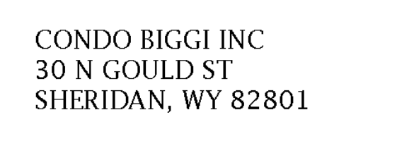CONDO BIGGI INC company information